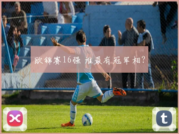 欧锦赛16强 谁最有冠军相？